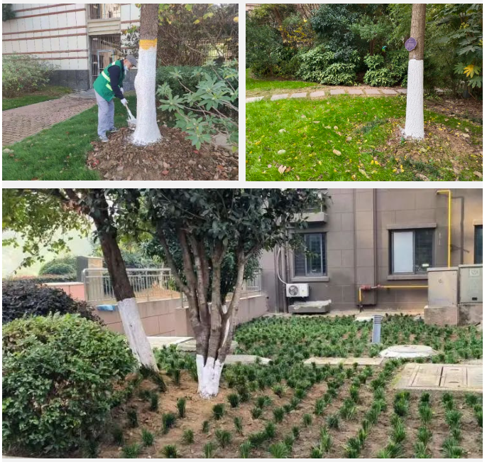 亚星管理平台(中国游)官方网站